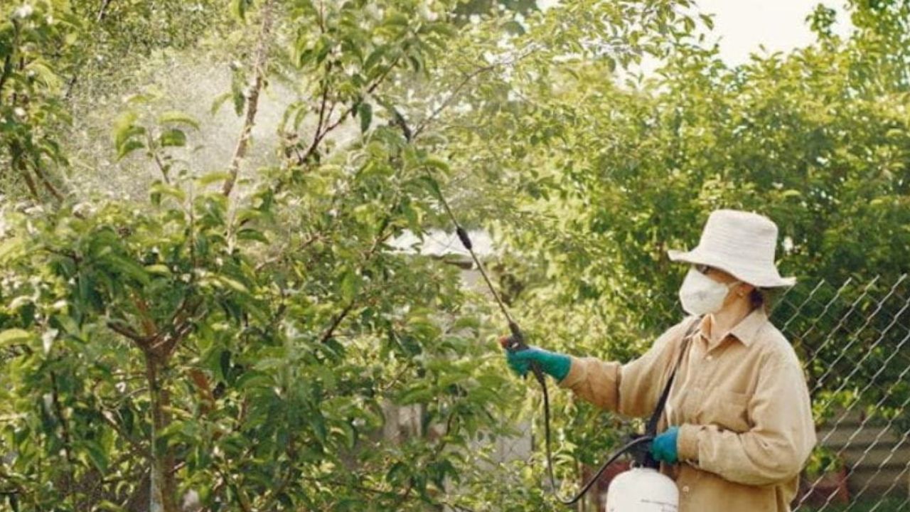 AdBlue comme désherbant