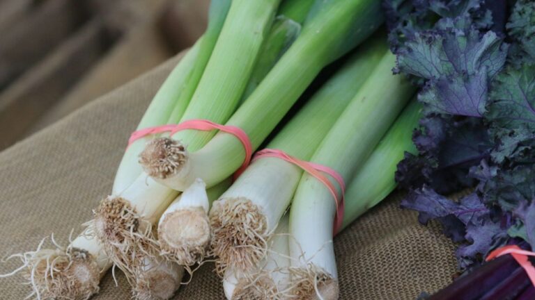 Saison des poireaux