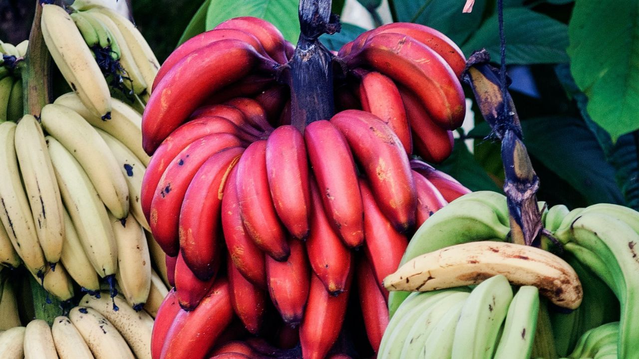 Banane rouge