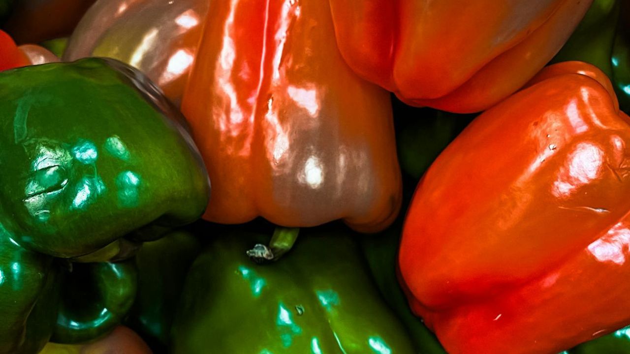 Le temps qu'un poivron vert devient rouge