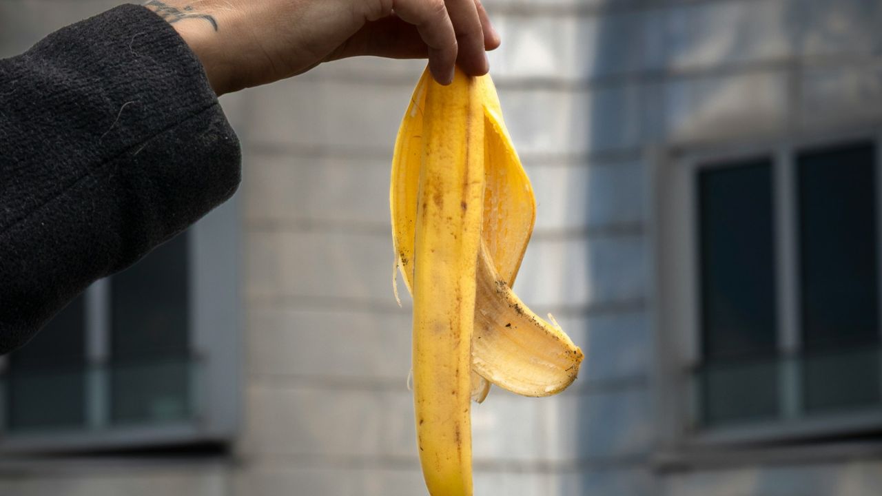Peaux de banane comme engrais