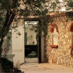 Planter un olivier près d’une maison
