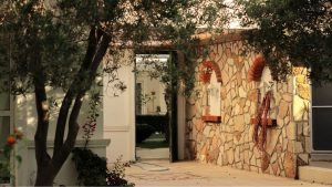 Planter un olivier près d’une maison