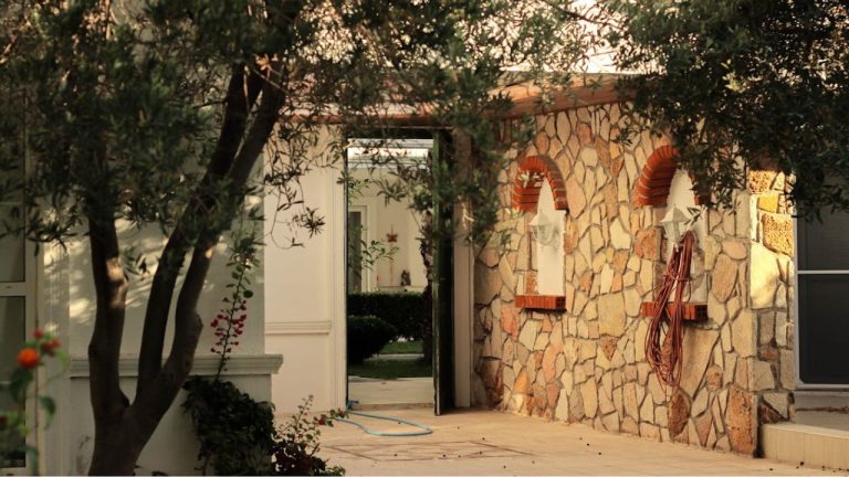 Planter un olivier près d’une maison