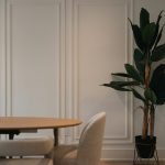 Entretenir un bananier d’intérieur