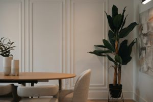 Entretenir un bananier d’intérieur