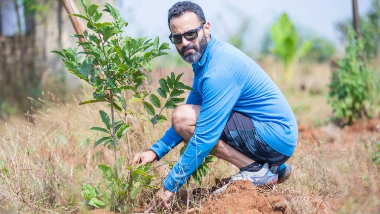 Planter un eucalyptus près d’une maison