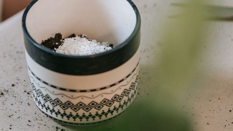 Les plantes avec du bicarbonate de soude