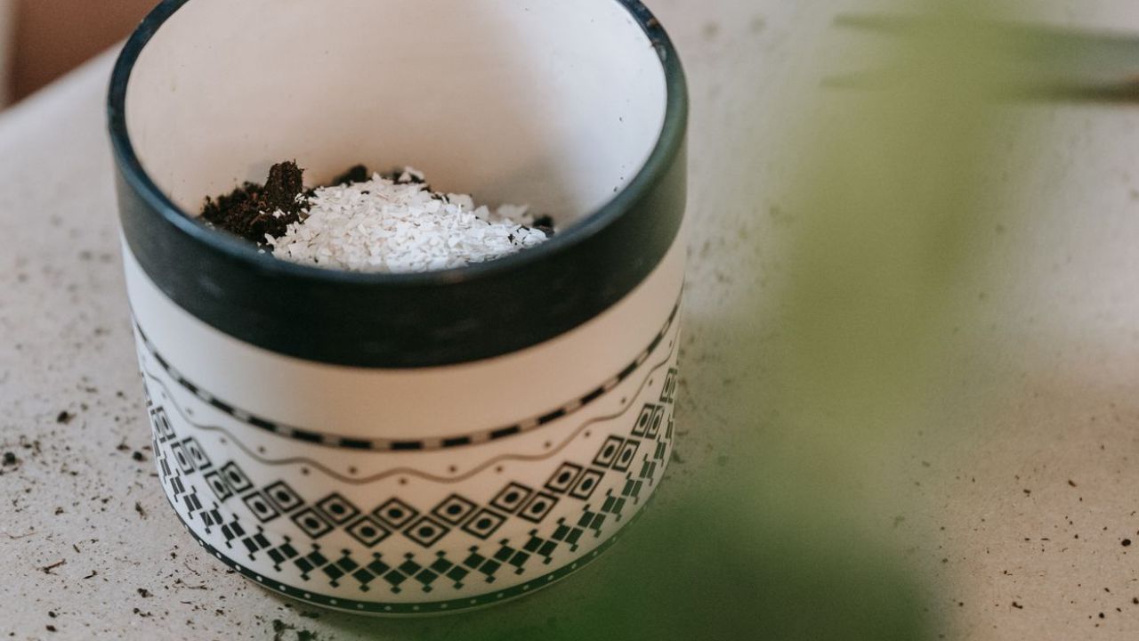 Les plantes avec du bicarbonate de soude