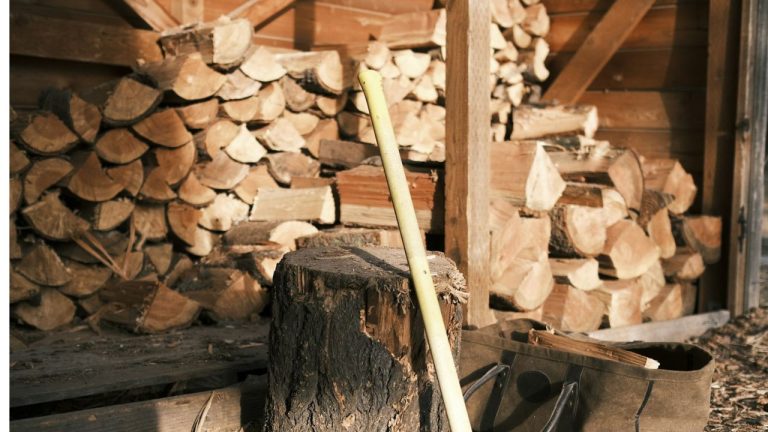 Bois de chauffage à 40 € le stère
