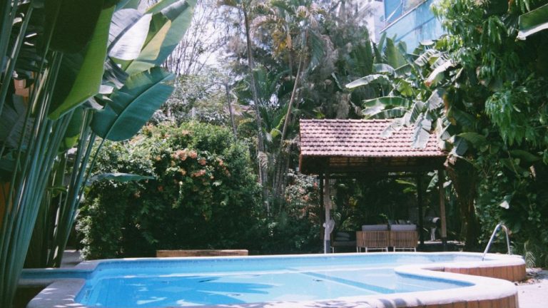 Bananier près d’une piscine